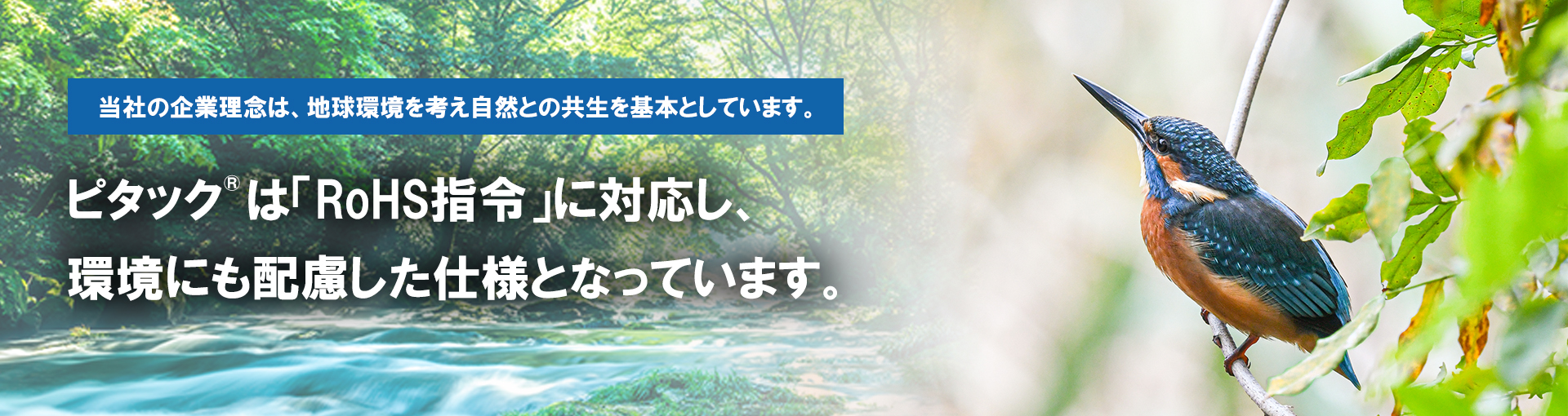 当社の企業理念は、地球環境を考え自然との共有を基本としています。ピタックは「RoHS」指令に対応し、環境にも配慮した仕様となっています。